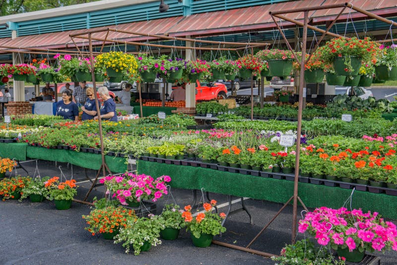 Blommor som är till salu på Vinton Farmers Market royaltyfria foton Blommor som är till salu på Vinton Farmers Market royaltyfria foton