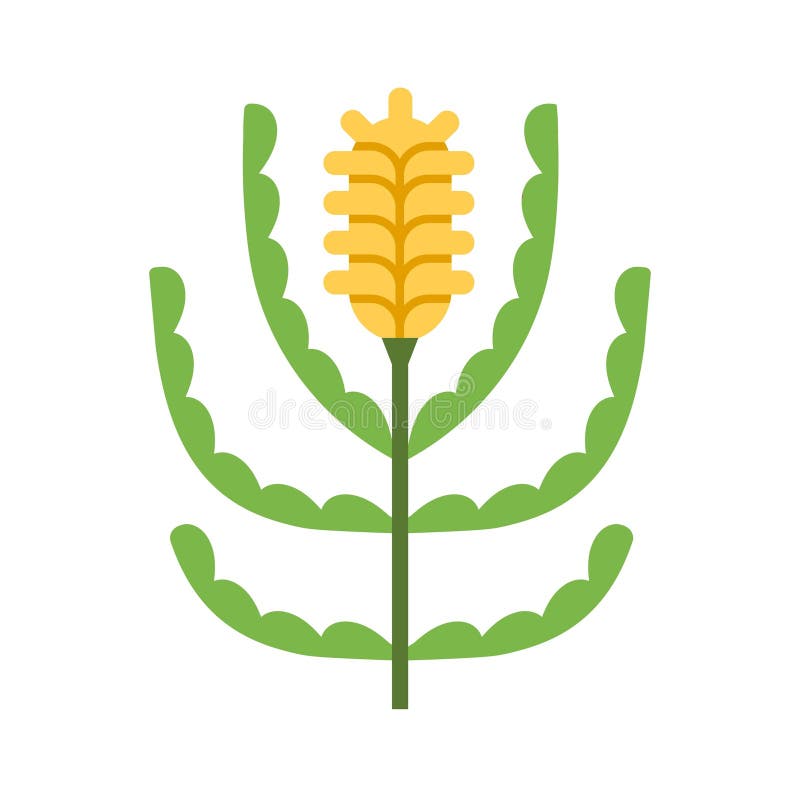 Blomplanta. Blad och stjälk av Wildblomspenat. Stiliserad plordgren med blomning. Dekorativ karaktär. Modern stock illustrationer