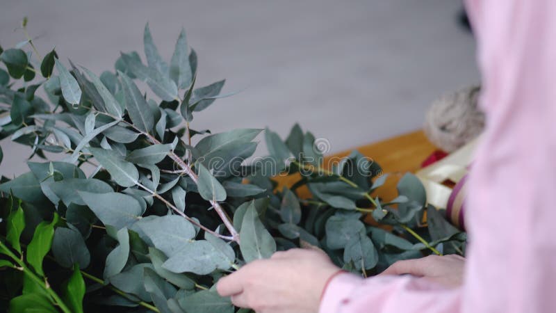 Blomsterhandlaren väljer en filial för en bröllopbukett royaltyfri foto Blomsterhandlaren väljer en filial för en bröllopbukett royaltyfri foto