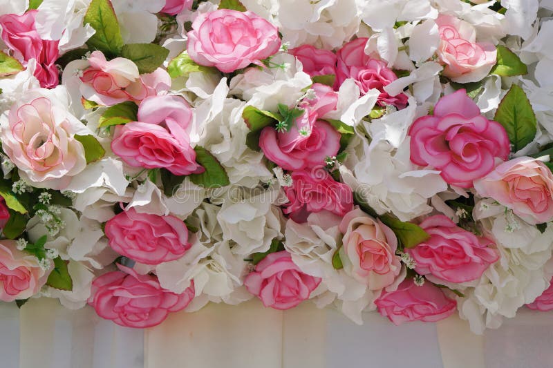 Blomsterrosa och vita rosor blommor arrangerar övertäckningar och blad på en vit dukvägg bakgrund Naturen älskar valentinbröllop arkivbild