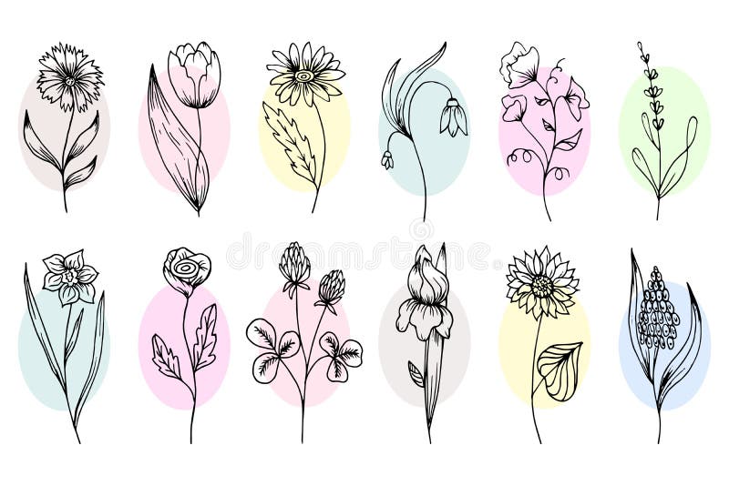 Blomsymboler ställer in svarta konturer i doodleformat med färgblock. social mediedesign royaltyfri illustrationer