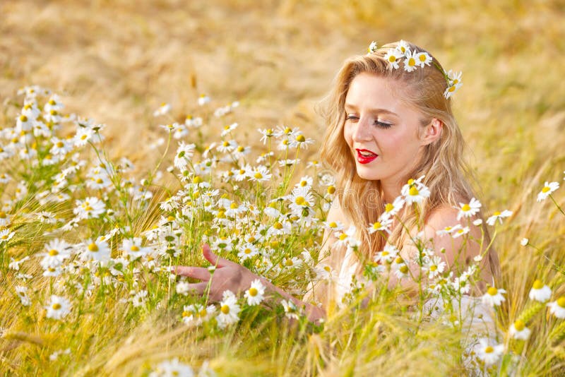 Blond girl on the camomile field stock photography.