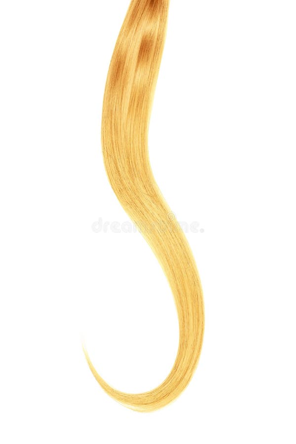 Blond Hair Isolated on White Background. Long Beautiful Ponytail Stock ...