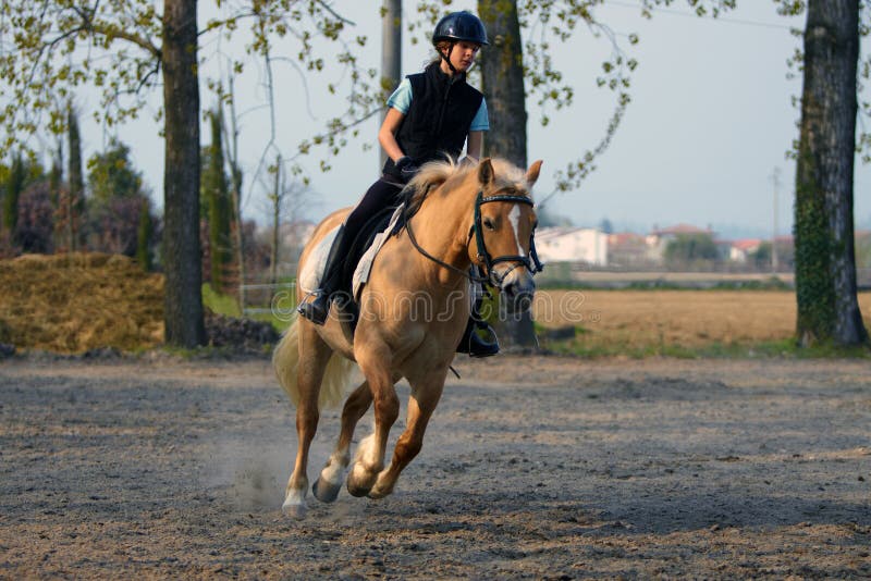 Pony Girls Training