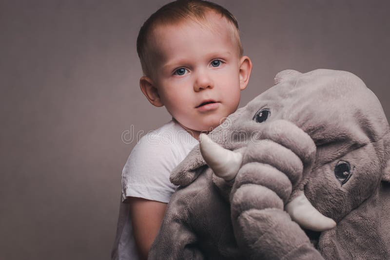 Blonda kramar för liten stilig pojke en flott elefant arkivfoton Blonda kramar för liten stilig pojke en flott elefant arkivfoton