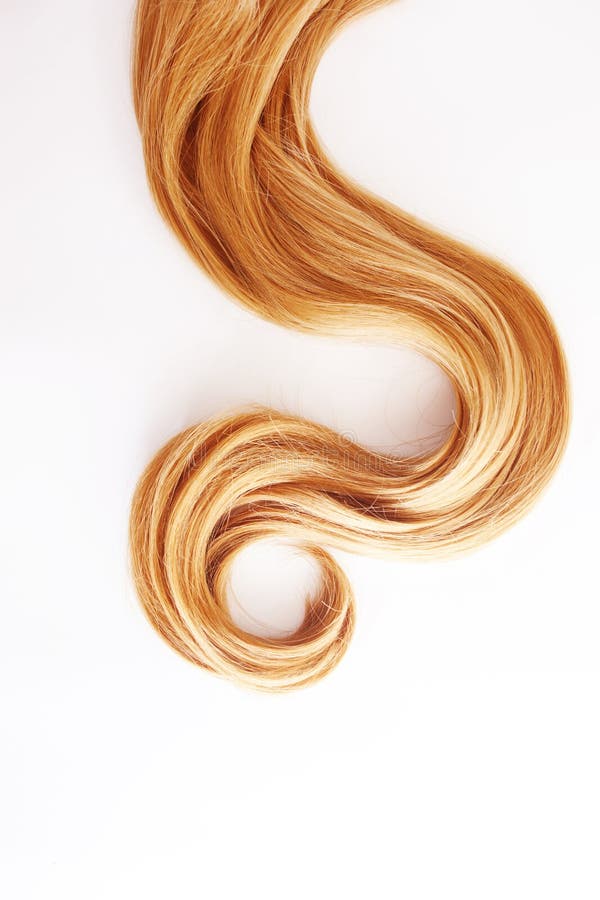 Blonde Curls Hair Isolated on White Background. Strand of Light or Red Hair,  Hair Care Stock Photo - Image of hair, isolated: 139447828