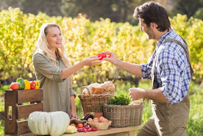 Farmer and Customer Shaking Hands Stock Photo Image of living, hand
