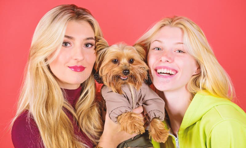 Blonde Girls Adore Little Cute Dog. Women Hug Yorkshire Terrier Stock Photo - Image of background, girls: 147222798 Blonde Girls Adore Little Cute Dog. Women Hug Yorkshire Terrier Stock Photo - Image of background, girls: 147222798