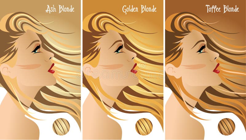 Blonde hair colours set stock vector. Illustration of model - 97813903