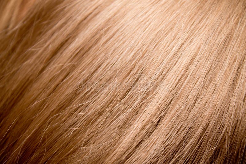 Dark blonde hair texture - wide 6