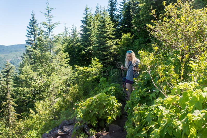 Blonde woman hiker hikes downhill on an Oregon trail in Mt Hood
