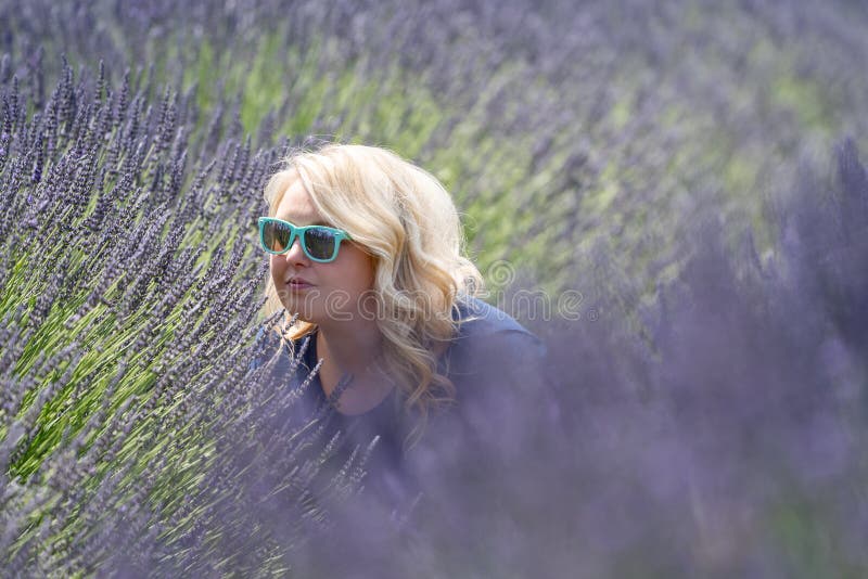 Blonde woman wearing sunglasses sniffs and smells lavender while in the field stock images Blonde woman wearing sunglasses sniffs and smells lavender while in the field stock images