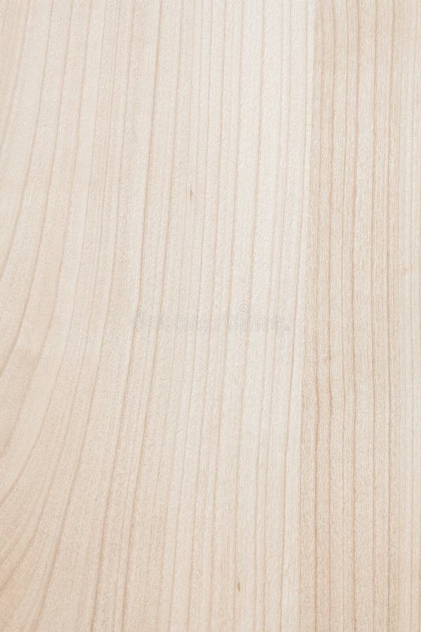 Blonde wood texture stock photo. Image of blonde, full 86077942