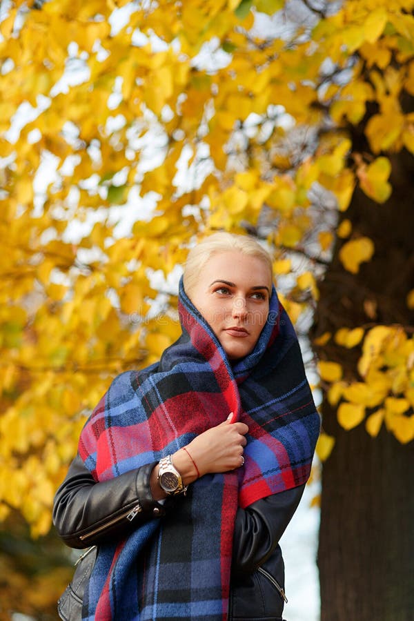 Blondine eingewickelt im warmen Plaidschal im Herbstpark stockbilder Blondine eingewickelt im warmen Plaidschal im Herbstpark stockbilder