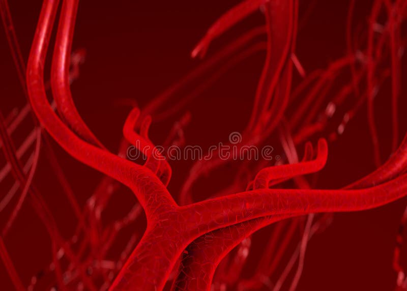 Una imagen tridimensional creada usando un modelo de computadora de sangre arterias.