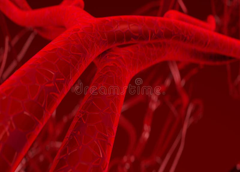 Rendering 3D di sangue nelle arterie.