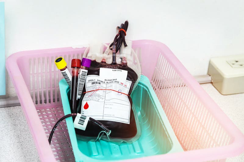 Blood Bag in Laboratory Hospital Stock Photo Image of blank, hospital