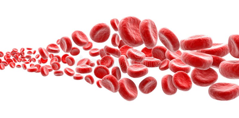Blood cells stock illustration