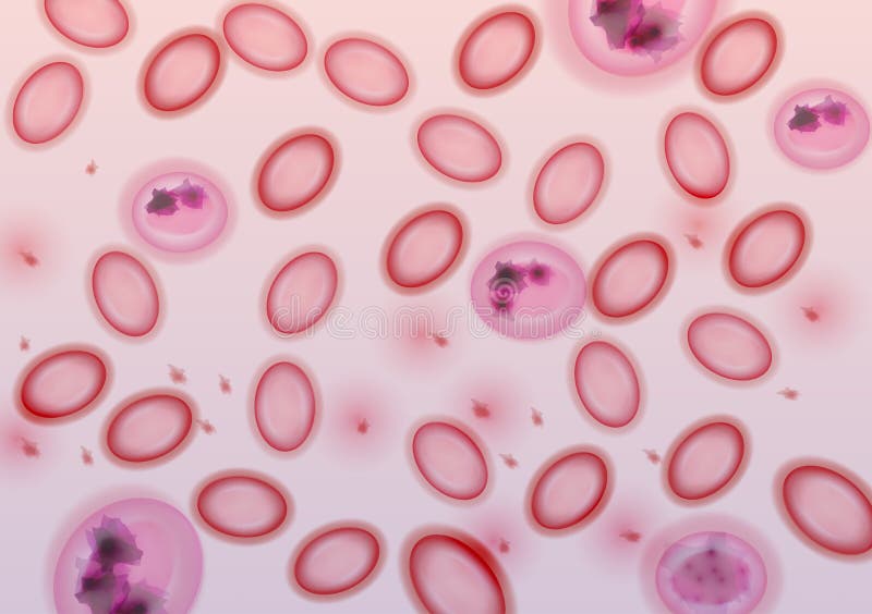 Blood Cells in Plasma - Vector Illustration stock illustration Blood Cells in Plasma - Vector Illustration stock illustration