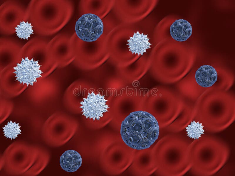 Blood cells and virus cells