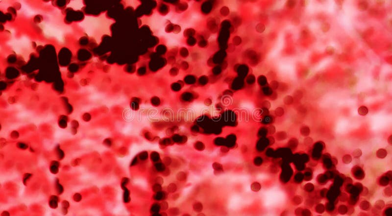 Как выглядит человек без крови Blood Corpuscles a Microscope, Blood Type View Macro - Image. Blood Stock Photo 