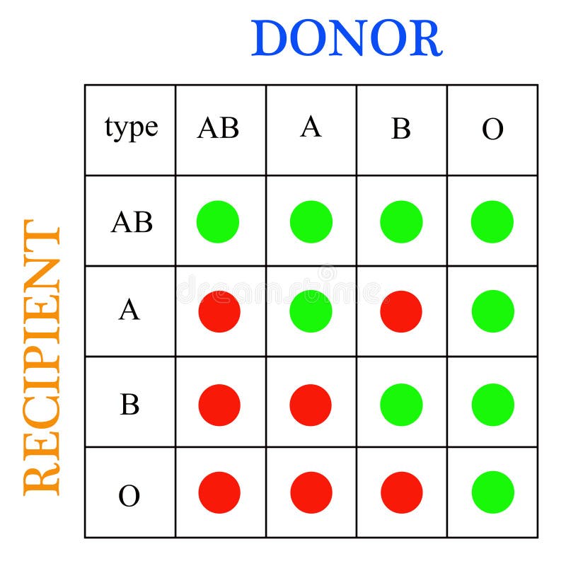 Darovanie krvi bezpečným spôsobom, keď sa vezme do úvahy rôzne druhy krvi.