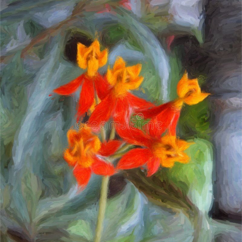 BloodFlower stock illustration. Illustration of canvas 8076895