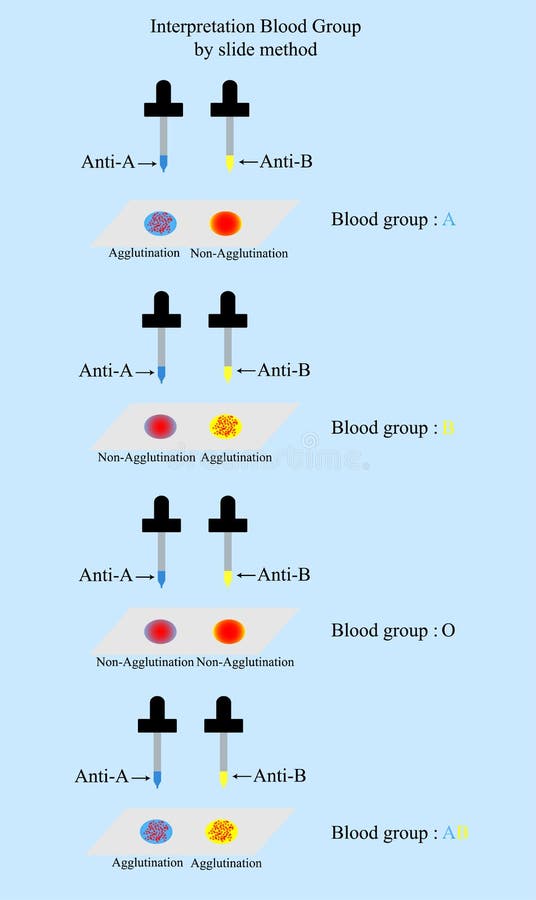 ABO Blood group by slide test