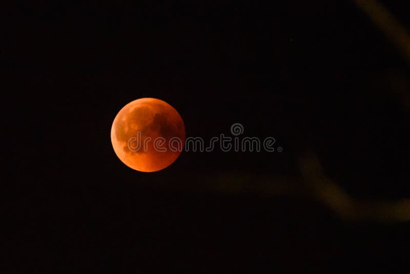 Blood moon in the sky. Total eclipse of the moon.