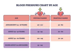 Blood Pressure Chart By Age As Systolic Or Diastolic Readings Outline Diagram Stock Vector