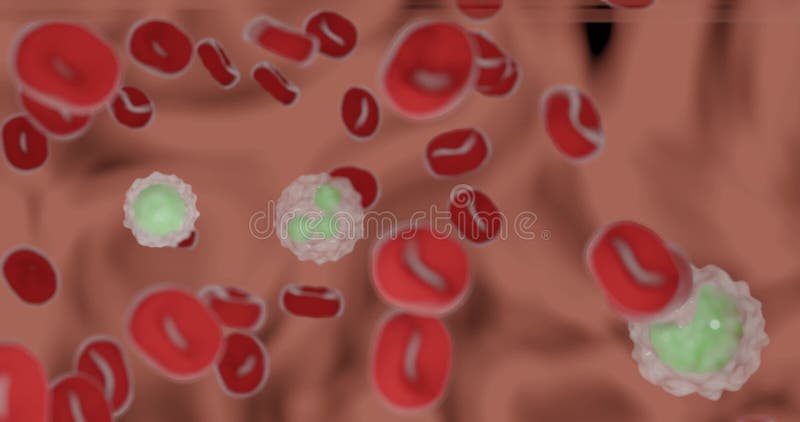 Blood smear in 3d animation