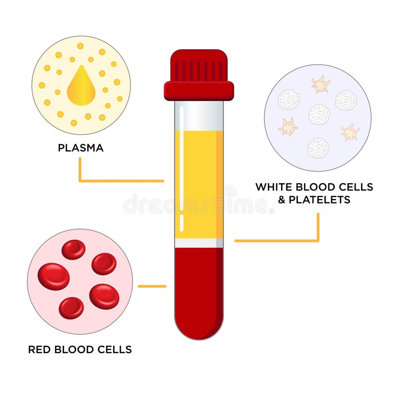 Science Findings Stock Illustrations 190 Science Findings Stock science-findings-stock-illustrations-190-science-findings-stock
