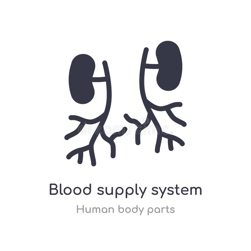 blood supply system outline icon. isolated line vector illustration from human body parts collection. editable thin stroke blood stock illustration blood supply system outline icon. isolated line vector illustration from human body parts collection. editable thin stroke blood stock illustration