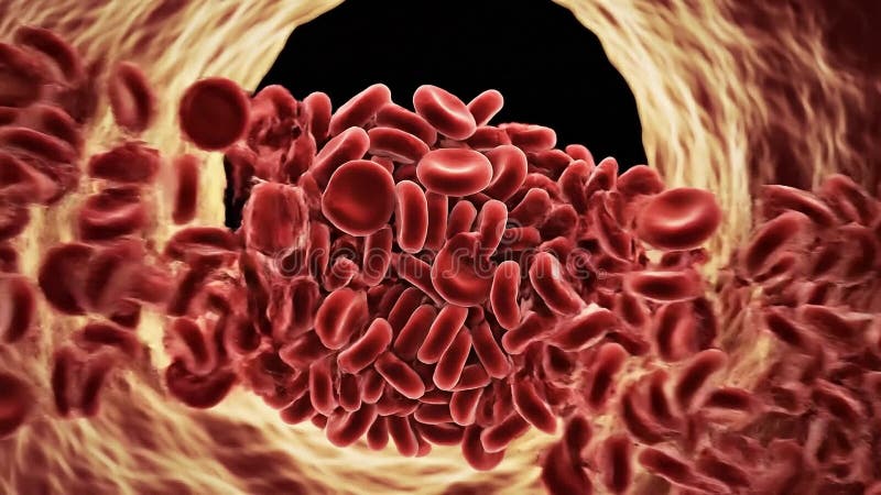 Blood Transfusion Compatibility Microscopic View royalty free illustration