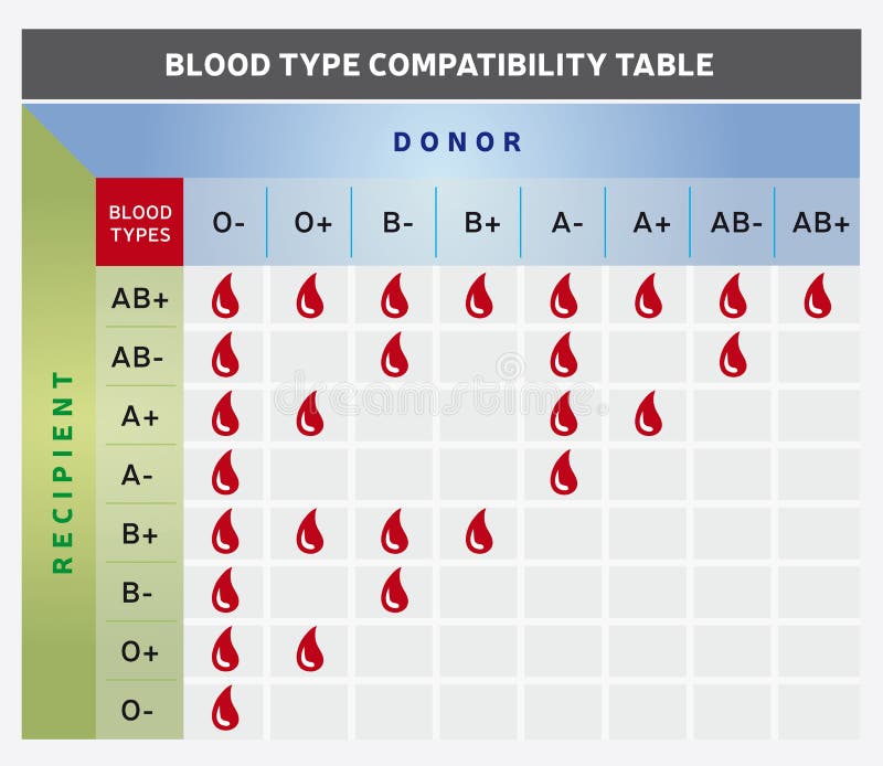 Blood Donation Compatibility Chart