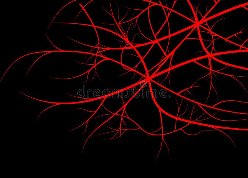 Blood veins, red vessels on black background.
