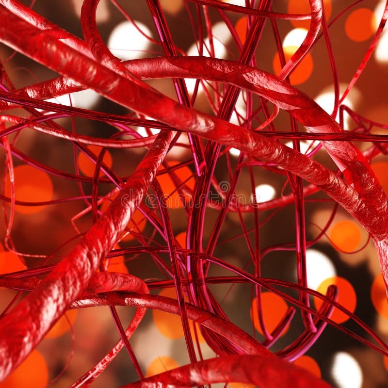 Blood Vessels, Veins And Arteries, Circulatory System, 3d Rendering