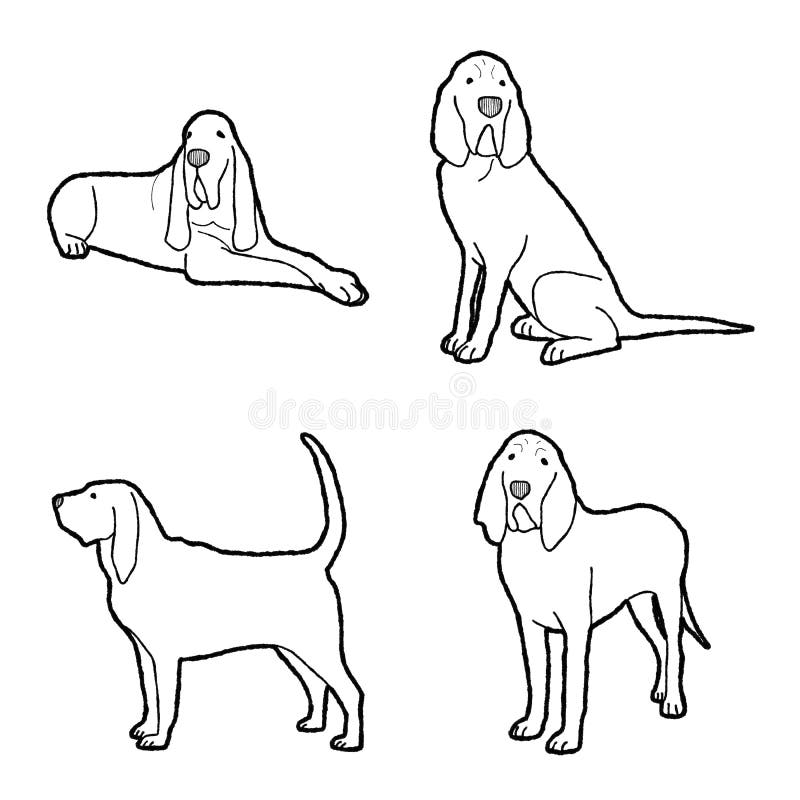 Cartoon Bloodhound Stock Illustrations – 283 Cartoon Bloodhound Stock  Illustrations, Vectors & Clipart - Dreamstime