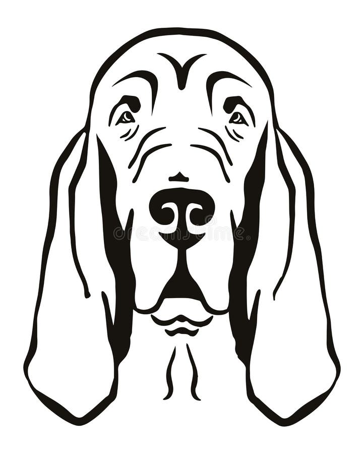 Bloodhound Svg, Dog Svg Files, Vector, Clipart, Cricut, Download By