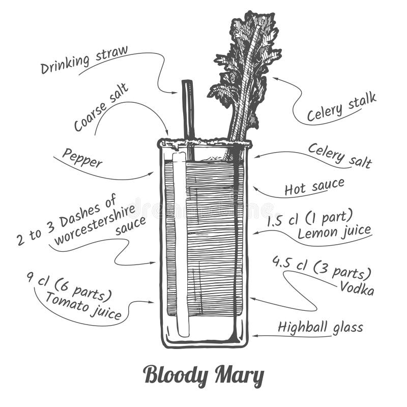 Ink drawing illustration of cocktail Bloody mary and its ingredients in vintage hand drawn style. isolated on white. Ink drawing illustration of cocktail Bloody mary and its ingredients in vintage hand drawn style. isolated on white.