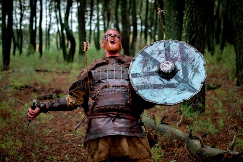 Bloody real viking stock photo. Image of human, expression - 138713262