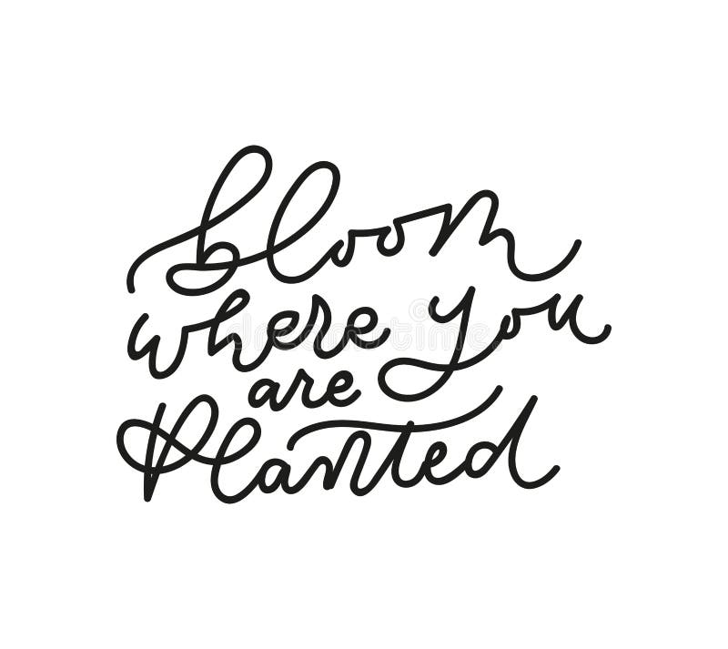 Bloom where you are planted inspirarional lettering inscription