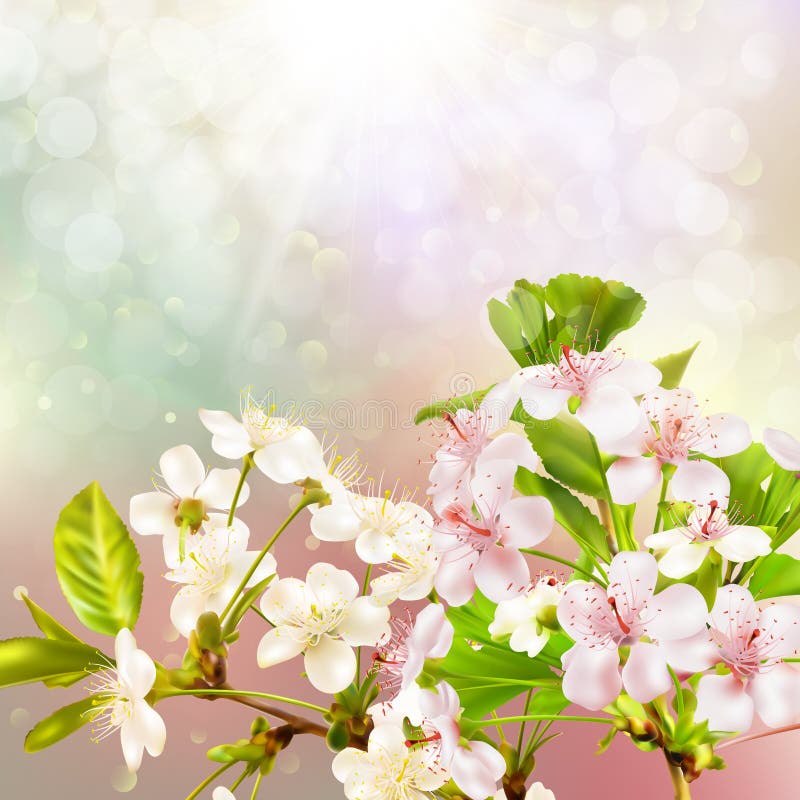 Blooming apple tree against the sky. EPS 10 stock illustration