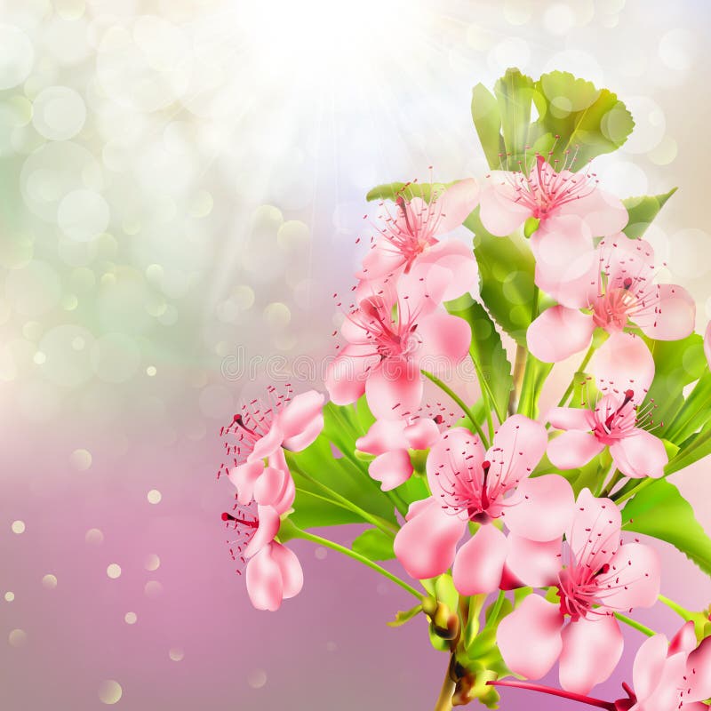 Blooming apple tree against the sky. EPS 10 vector illustration