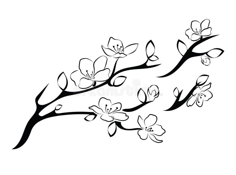 Tree Drawings, Clip Art Pictures, Unusual Flowers, - Fall Leaves Clip Art,  HD Png Download , Transparent Png Image - PNGitem