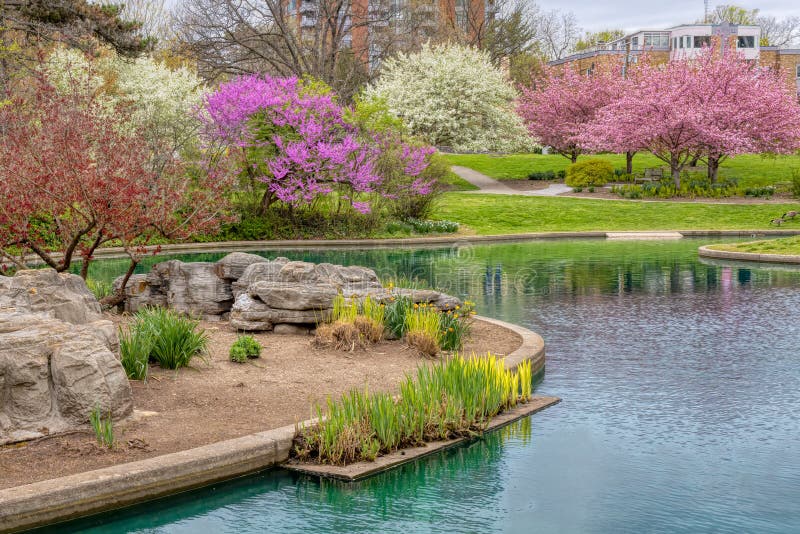 Blooming Flowers and Trees in Spring in Eden Park, Cincinnati