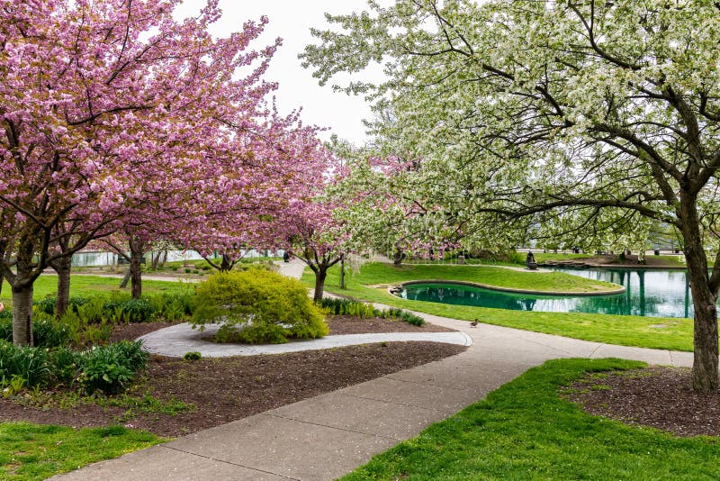 Blooming Flowers and Trees in Spring in Eden Park, Cincinnati