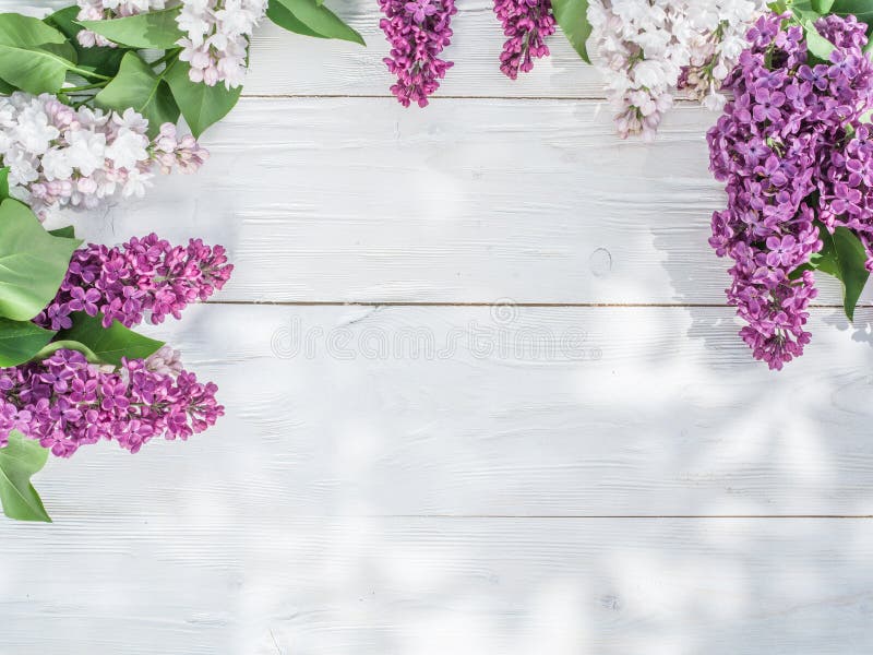 Blooming Lilac Flowers on the Old Wood. Stock Image Image of spring