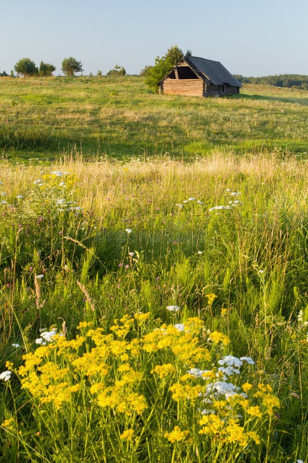 Meadow with old barn stock photo. Image of flower, outhouse - 11305522