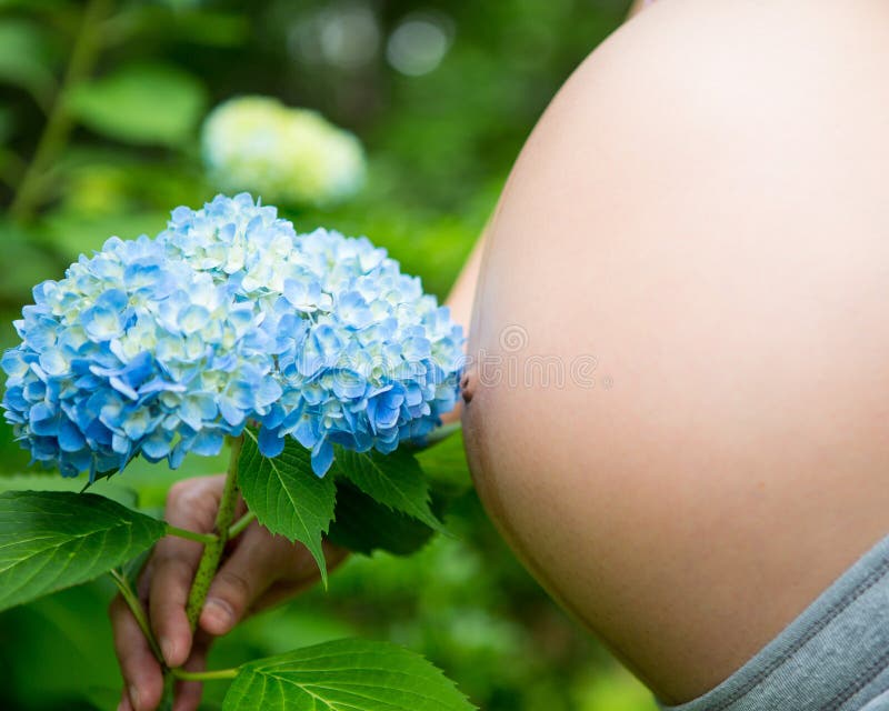 Blooming pregnancy stock image. Image of motherhood, blooming 44375865
